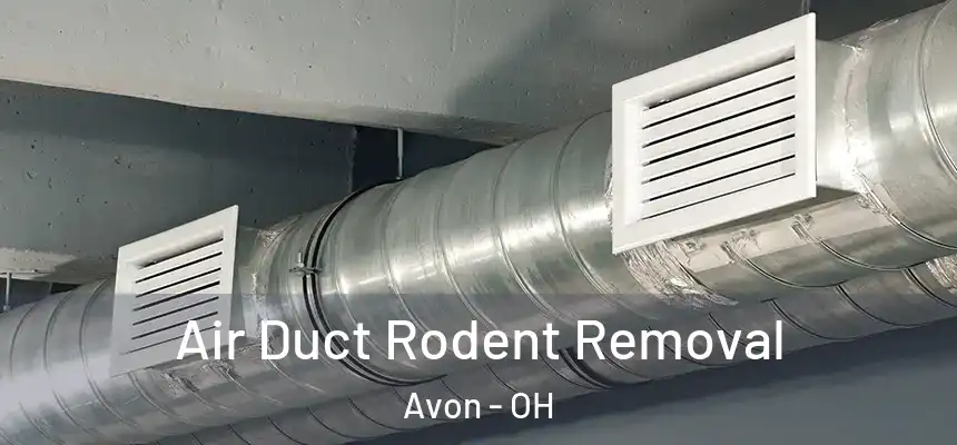  Air Duct Rodent Removal Avon - OH