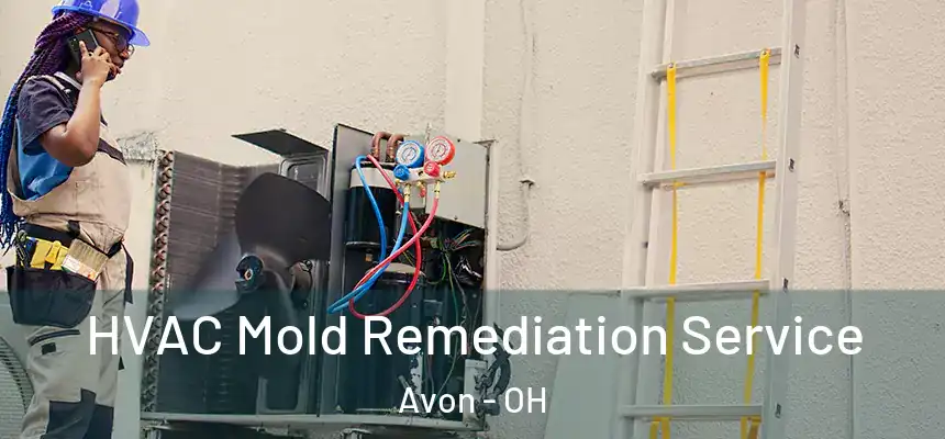  HVAC Mold Remediation Service Avon - OH