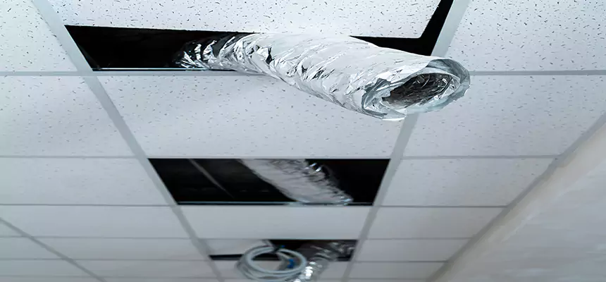 Affordable HVAC Sanitizing After Pest Removal in Avon