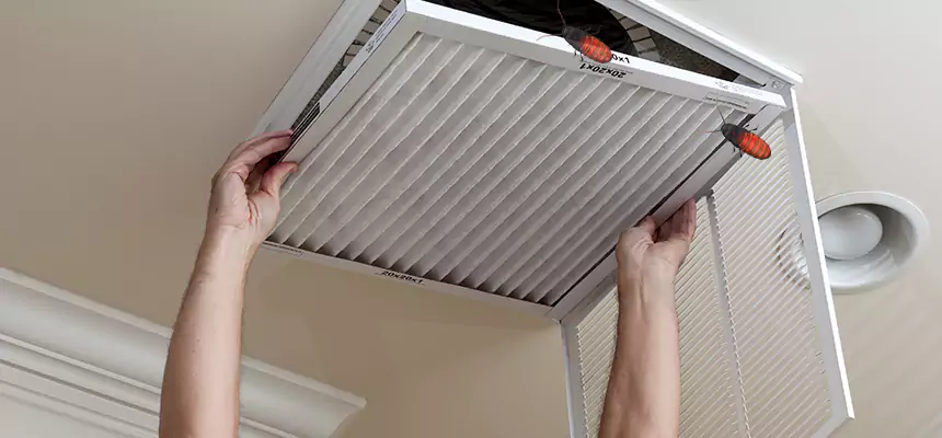 Our Insect Removal from Air Ducts Services in Avon, OH