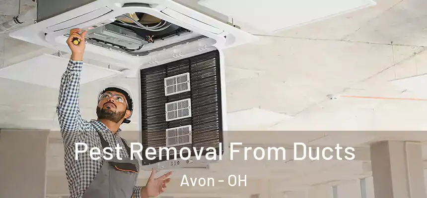  Pest Removal From Ducts Avon - OH