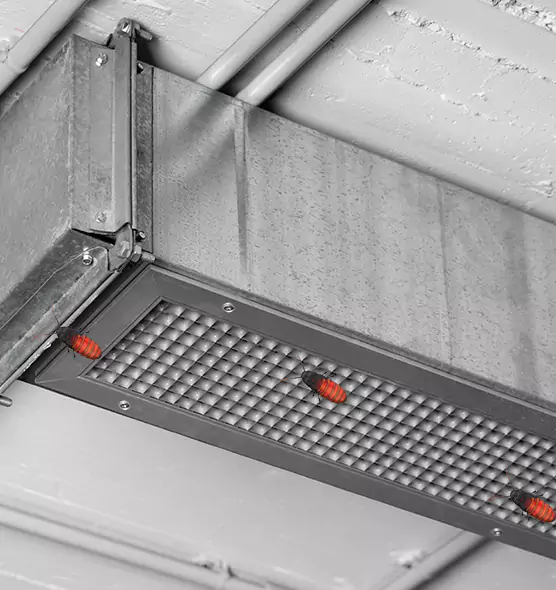 Affordable Insect Removal from Air Ducts in Avon, OH