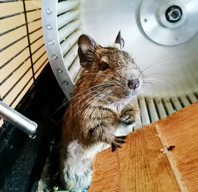 Why Homeowners & Businesses Trust Us Avon, OH?